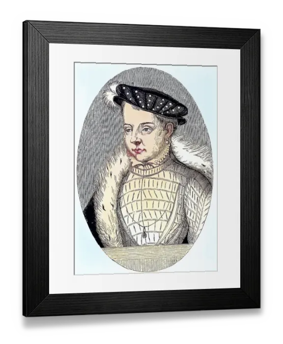 Framed Print : Francis II, Francois II, 19 January 1544