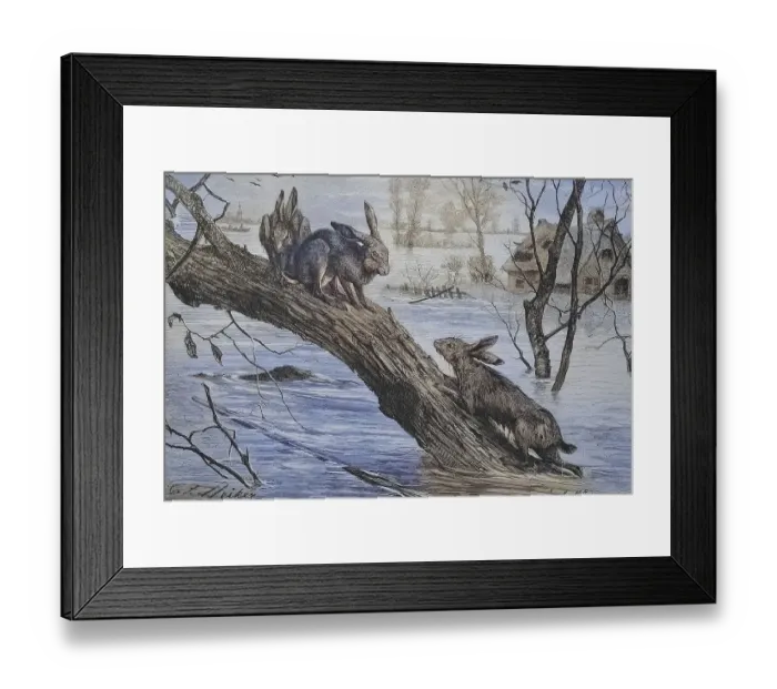 Framed Print : Field hare, Hares have taken refuge from a flood on a tree trunk