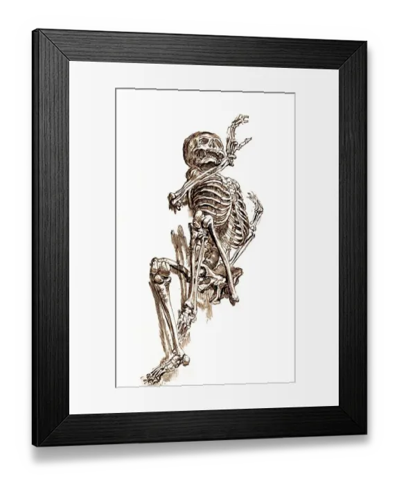Framed Print : Human skeleton, human anatomy, medicine Framed Print : Human skeleton, human anatomy, medicine