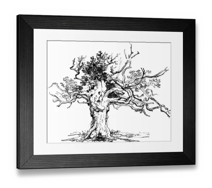 Framed Print : A stunted oak, 1822, Lithograph by James Ward Framed Print : A stunted oak, 1822, Lithograph by James Ward