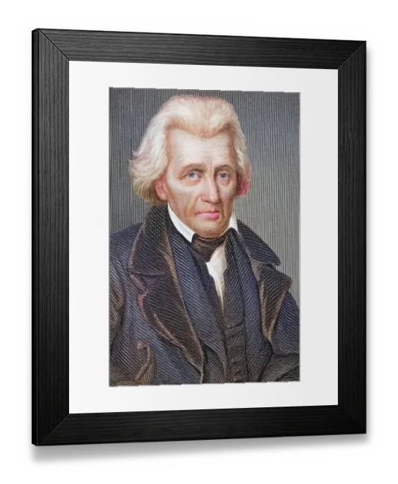 Framed Print : Andrew Jackson, 1767, 1845, 7th President of the United States of America