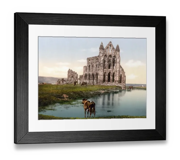 Framed Print : Whitby Abbey, Whitby Abbey, a former monastery in Whitby Framed Print : Whitby Abbey, Whitby Abbey, a former monastery in Whitby