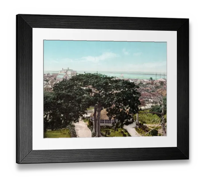 Framed Print : Nassau harbour, Bahamas, 1890, Historic Framed Print : Nassau harbour, Bahamas, 1890, Historic