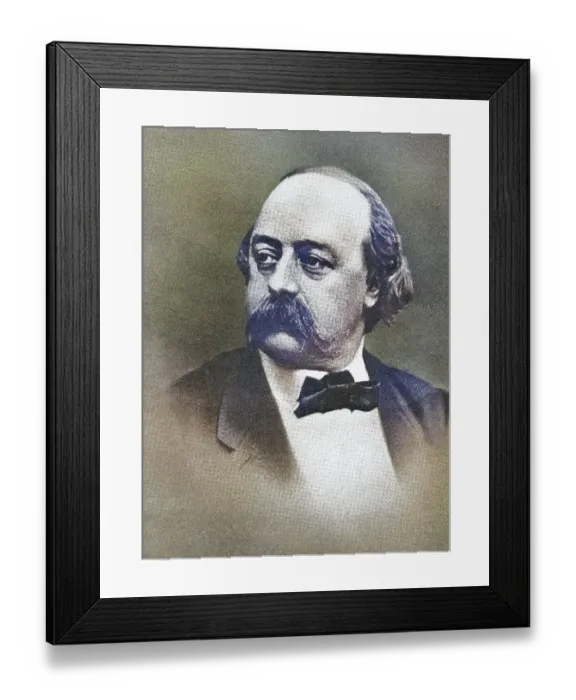 Framed Print : Gustave Flaubert, 1821-1880, French novelist