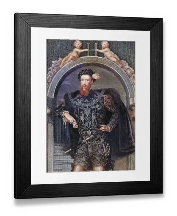 Framed Print : Henry Howard, Earl of Surrey, 1517-1547 English poet From the book Lodges British Portraits