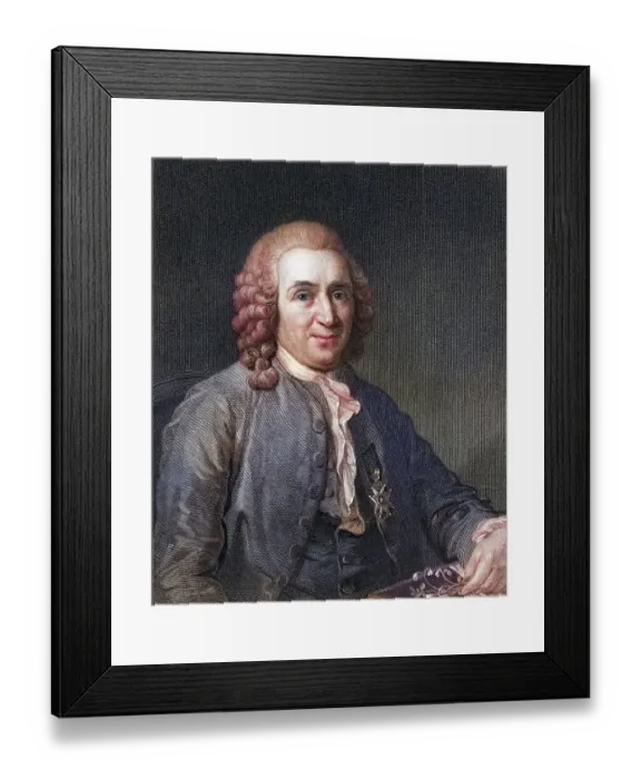 Framed Print : Carl von Linne alias Linnaeus, 1707-1778