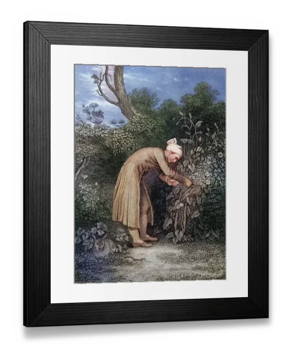 Framed Print : William Cowper (born 26 November 1731 in Berkhamstead) Framed Print : William Cowper (born 26 November 1731 in Berkhamstead)