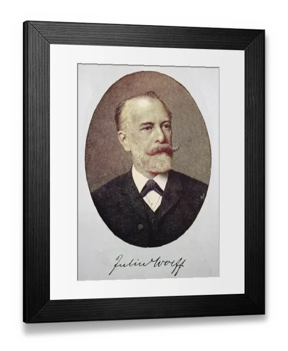 Framed Print : Julius Wolff, 16 September 1834 - 3 June 1910