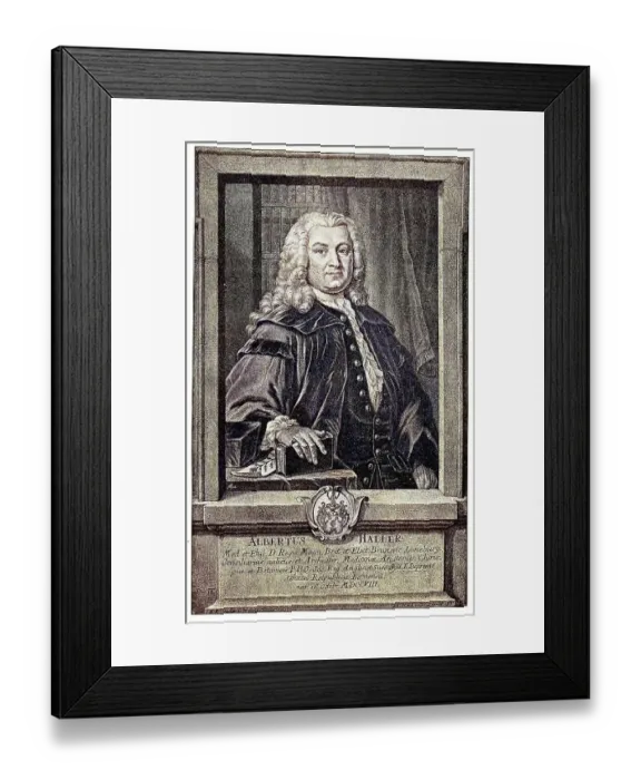 Framed Print : Albrecht Viktor Haller, from 1749 von Haller Framed Print : Albrecht Viktor Haller, from 1749 von Haller