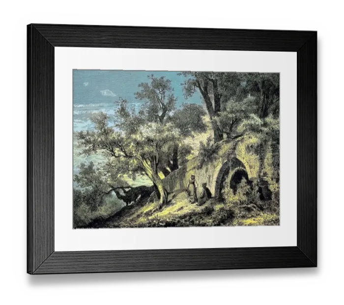 Framed Print : Landscape with fountain under olive trees Framed Print : Landscape with fountain under olive trees