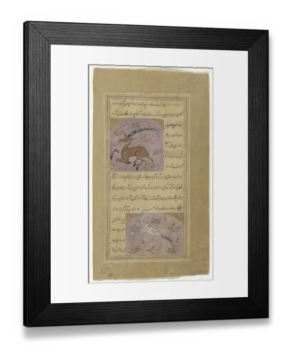 Framed Print : Mythical creature. A species of unicorn found in remote areas of Rum in Turkey