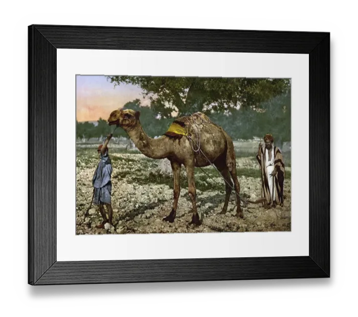 Framed Print : Labourer, Plain of Esdraelon, Holy Land Framed Print : Labourer, Plain of Esdraelon, Holy Land
