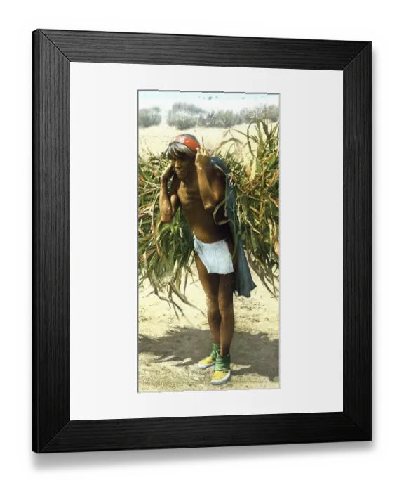 Framed Print : Bringing in the harvest among the Hopi Indians Framed Print : Bringing in the harvest among the Hopi Indians