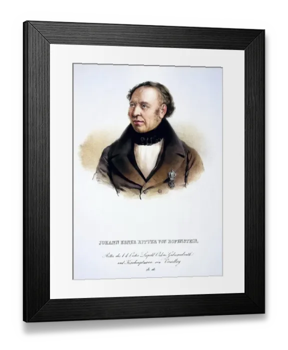 Framed Print : Johann Nepomuk Ebner, Knight of Rofenstein since 1839