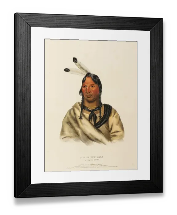 Framed Print : Esh-Ta-Hum-Leah. A Sioux Chief (1838) Framed Print : Esh-Ta-Hum-Leah. A Sioux Chief (1838)