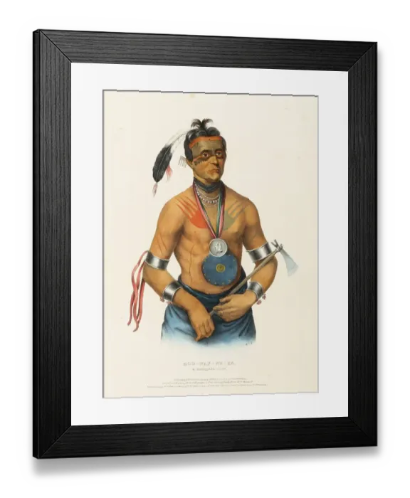 Framed Print : Hoo-Wan-Ne-Ka, A Winnebago Chief (1844)