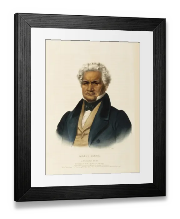 Framed Print : Major Ridge. A Cherokee Chief (1838)