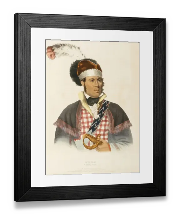 Framed Print : Indians, Historical Indian tribes from North America Framed Print : Indians, Historical Indian tribes from North America