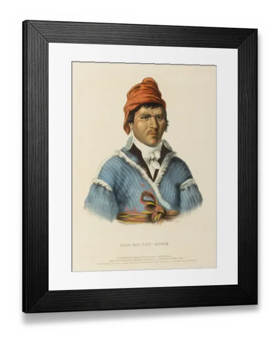 Framed Print : Nah-Et-Luc-Hopie (1843), Native American