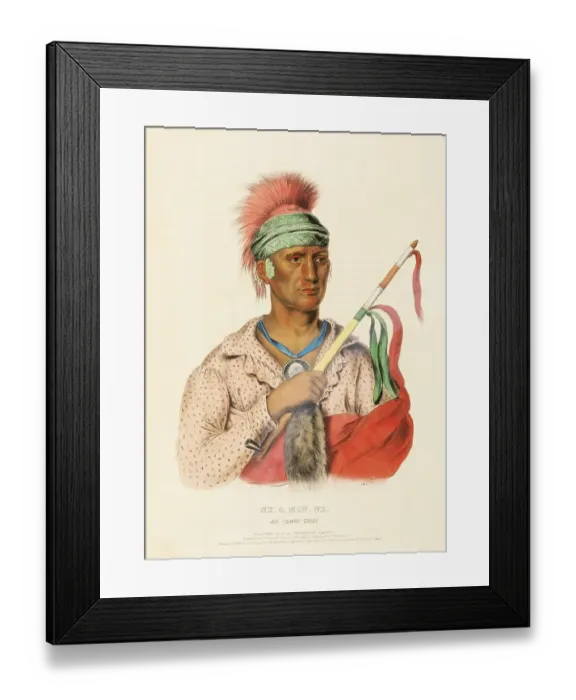 Framed Print : Ne-O-Mon-Ne, An Ioway Chief (1838)