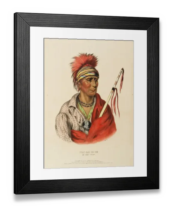 Framed Print : Not-Chi-Mi-Ne. An Ioway Chief (1838)