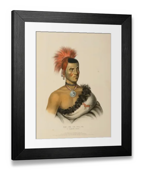 Framed Print : Pes-Ke-Le-Cha-Co, A Pawnee Chief (1841)