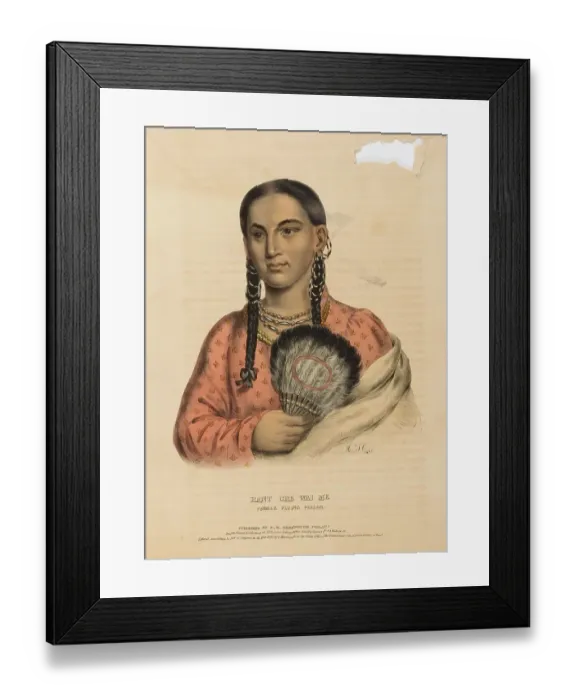 Framed Print : Rant Che Wai Me. Female Flying Pigeon (1838)