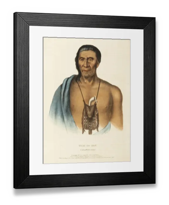 Framed Print : Tish-Co-Han. A Delaware Chief (1837) Framed Print : Tish-Co-Han. A Delaware Chief (1837)