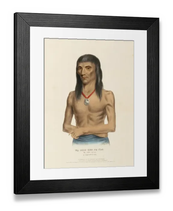 Framed Print : Wa-Bish-Kee-Pe-Nas. The White Pigeon