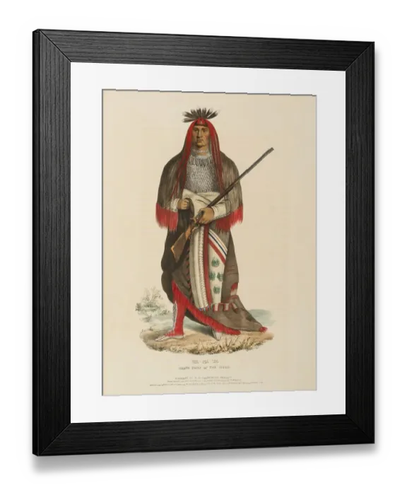 Framed Print : Wa-Na-Ta. Grand Chief Of The Sioux (1838) Framed Print : Wa-Na-Ta. Grand Chief Of The Sioux (1838)
