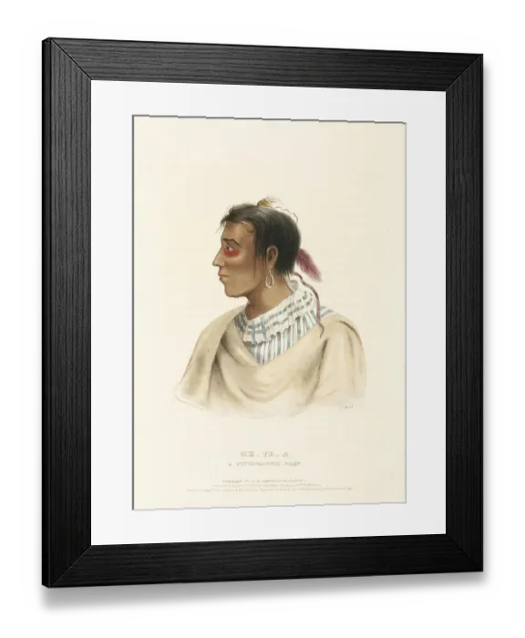 Framed Print : Indians, Historical Indian tribes from North America