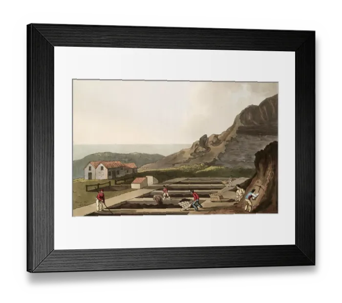 Framed Print : Scene from everyday life in England around 1810 Framed Print : Scene from everyday life in England around 1810