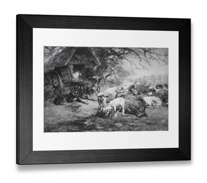 Framed Print : Sheep and dogs resting next to a shed in a rural landscape Framed Print : Sheep and dogs resting next to a shed in a rural landscape