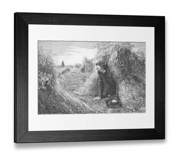 Framed Print : Escaped, a fugitive crook has hidden from the policeman in a sheaf of grain