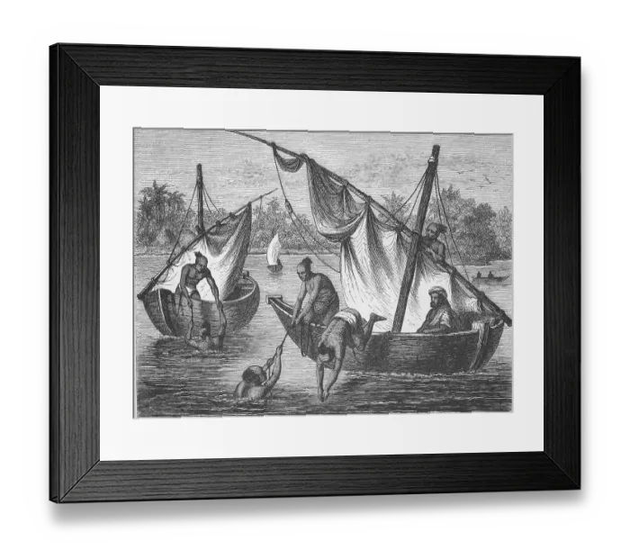Framed Print : Pearl fishermen in India, c. 1895 Framed Print : Pearl fishermen in India, c. 1895