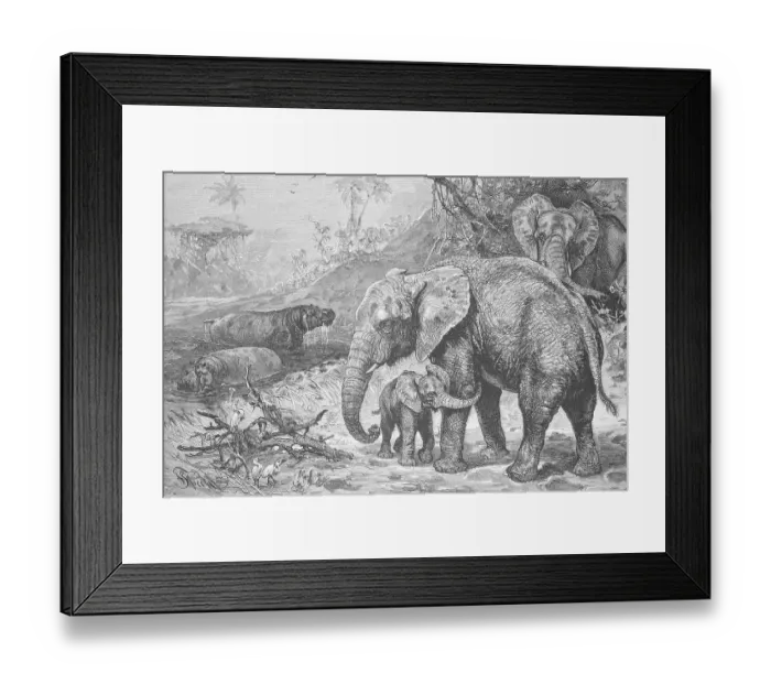 Framed Print : Hippos and African elephants in the wild