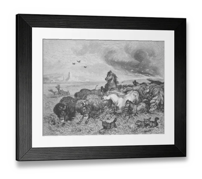 Framed Print : Wild horses and bison flee in panic from a prairie fire Framed Print : Wild horses and bison flee in panic from a prairie fire