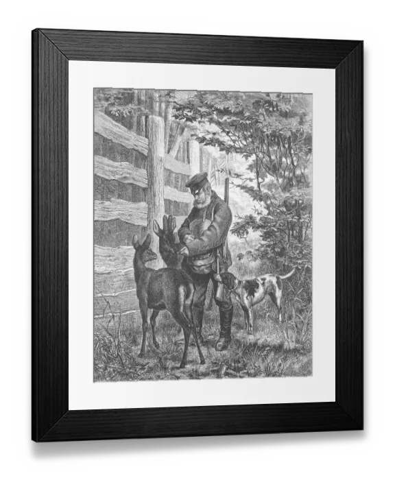 Framed Print : The park forester feeds the trusting deer in the nature park
