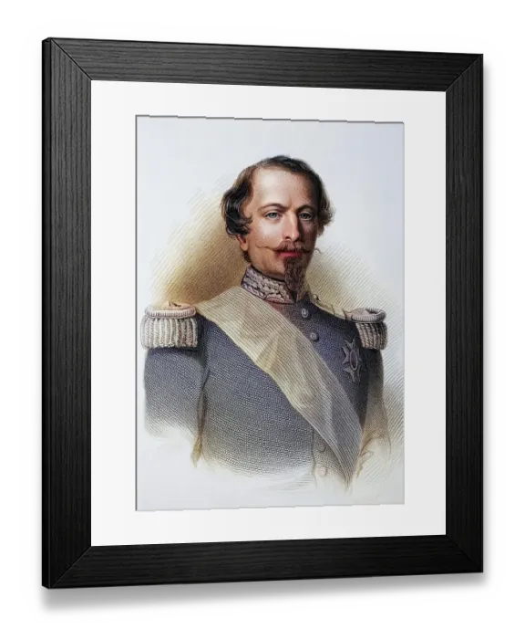 Framed Print : Napoleon III was also called Louis Napoleon until 1852