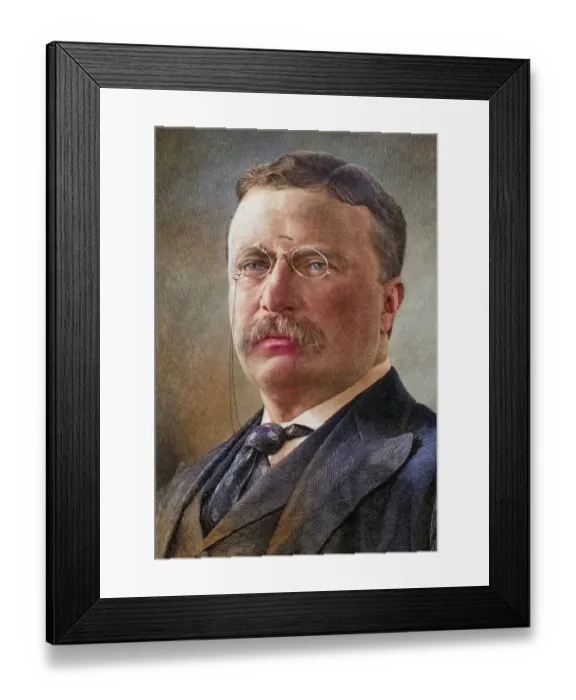 Framed Print : Theodore D. Roosevelt, 1858 to 1919 Framed Print : Theodore D. Roosevelt, 1858 to 1919