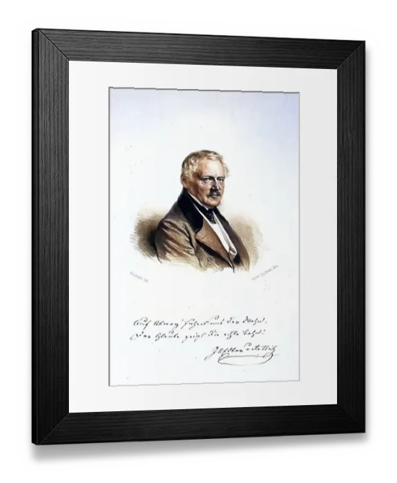 Framed Print : Johann Baptist von Rettich (1793-1861, k)