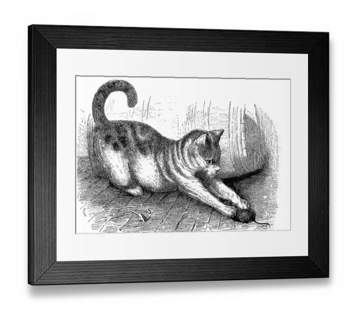 Framed Print : Domestic cat with a captured mouse Framed Print : Domestic cat with a captured mouse