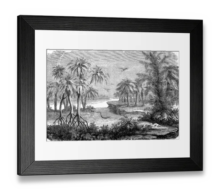 Framed Print : Ideal landscape from the Jurassic period Framed Print : Ideal landscape from the Jurassic period