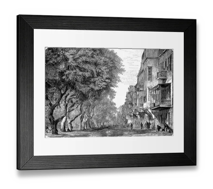 Framed Print : The Esbekieh Square with acacias in Cairo