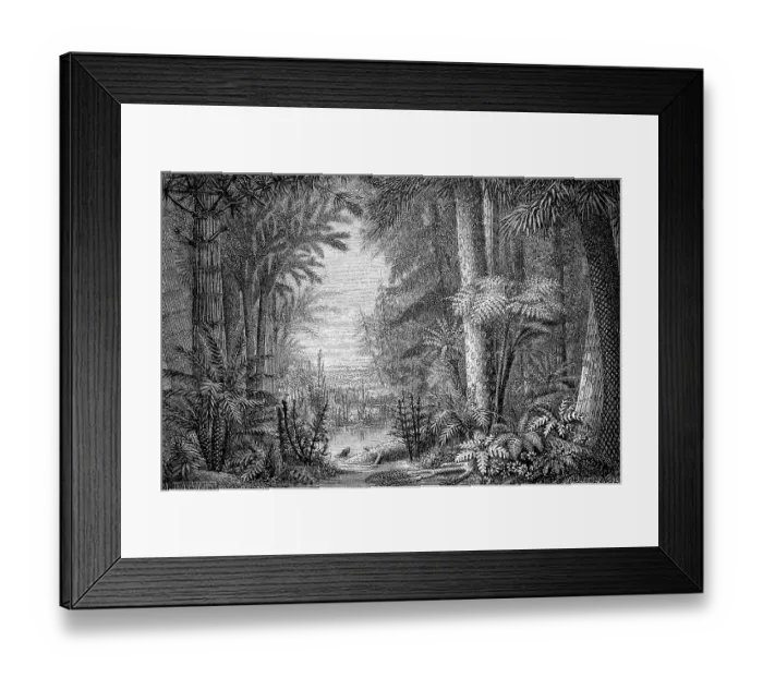 Framed Print : Ideal landscape from the Coal Age