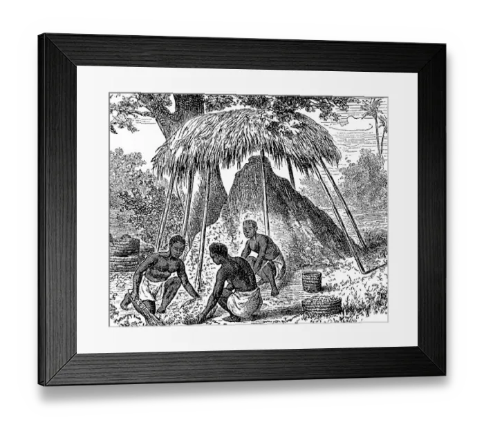 Framed Print : Africa, Men of the Manjuema tribe catching ants