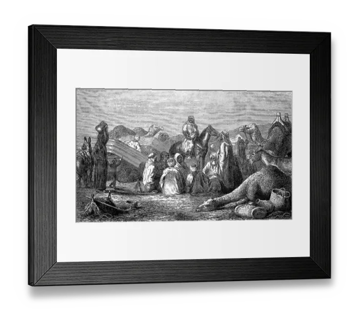 Framed Print : Bedouin camp in the desert, camel caravan Framed Print : Bedouin camp in the desert, camel caravan