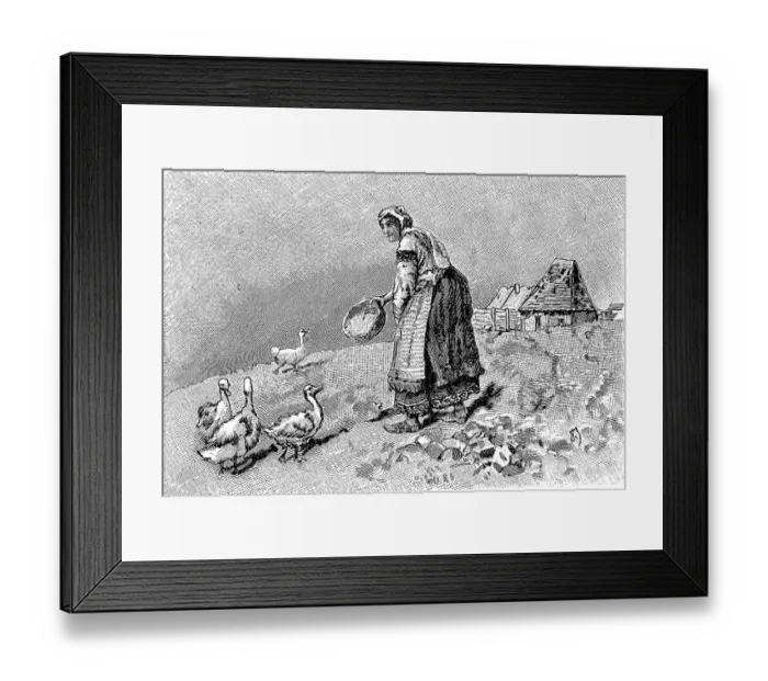 Framed Print : Farmer's wife in Bulgaria feeding the geese