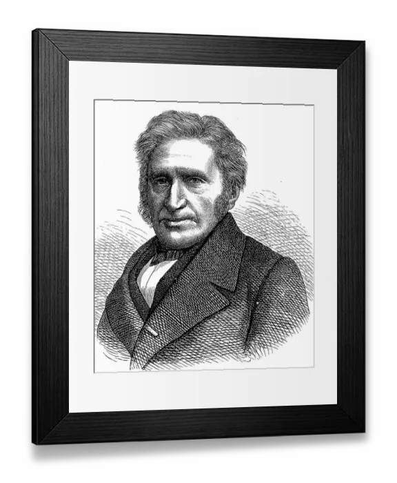 Framed Print : Heinrich Gottlieb Ludwig Reichenbach