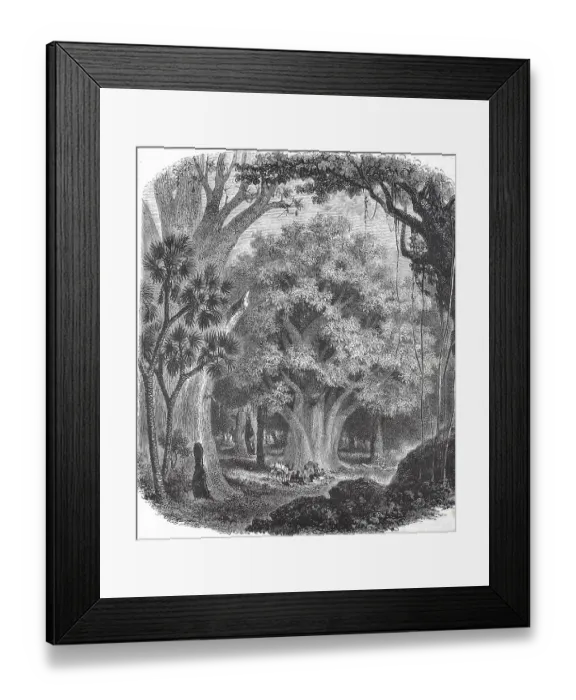 Framed Print : Historic, digitally restored reproduction from a 19th century original